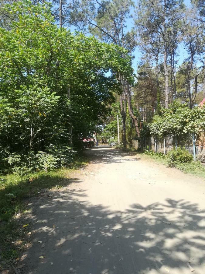 Shekvetili+ Hotel Exterior foto